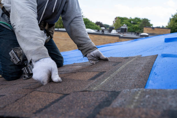 Quick and Trustworthy Emergency Roof Repair Services in Gainesville, VA
